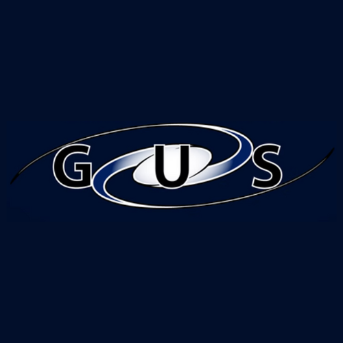 ims logo (3)